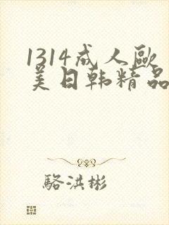 1314成人欧美日韩精品