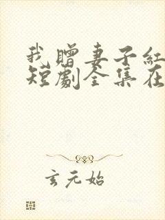 我赠妻子红缨枪短剧全集在线观看