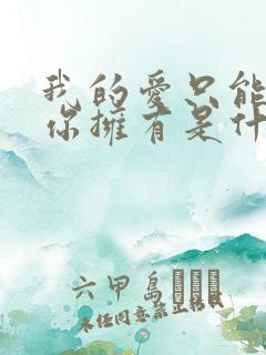 我的爱只能够让你拥有是什么歌