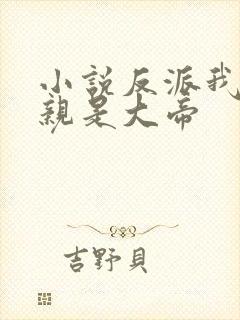 小说反派我的母亲是大帝
