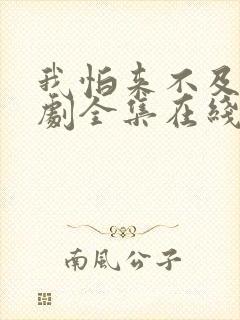 我怕来不及电视剧全集在线观看免费