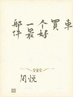 哪一个买车的软件最好