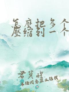 怎么把多个文档压缩到一个压缩包里