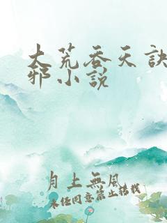 大荒吞天诀柳无邪小说