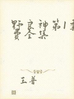 野良神第1季免费全集