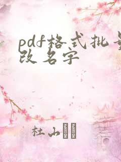 pdf格式批量改名字