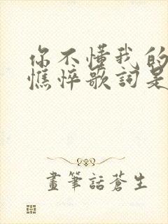 你不懂我的那些憔悴歌词是什么意思