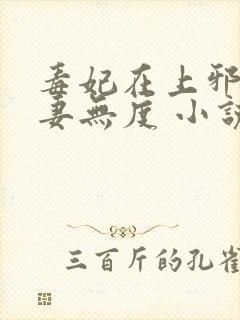 毒妃在上邪王宠妻无度 小说