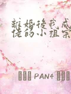 离婚后我成了大佬的小祖宗