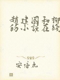 赵建国和柳琳琳的小说在线阅读