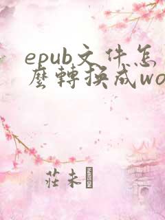 epub文件怎么转换成word