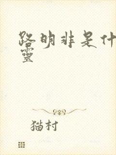 路明非是什么言灵