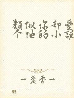 类似你却爱着一个他的小说
