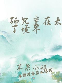 师兄实在太稳健了境界