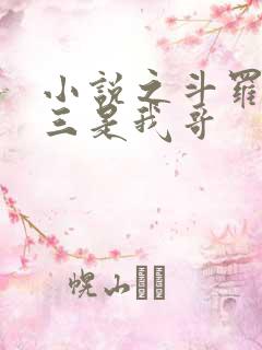 小说之斗罗:唐三是我哥