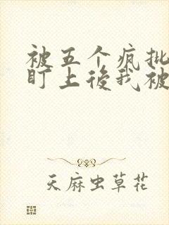 被五个疯批男主盯上后我被囚禁了小说