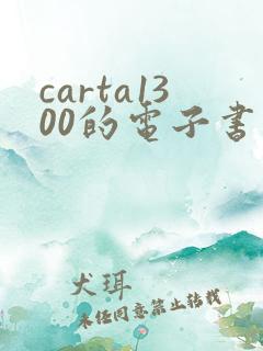 carta1300的电子书阅读器