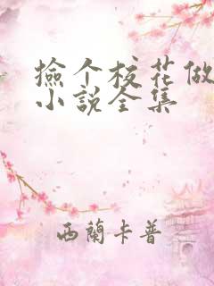 捡个校花做老婆小说全集