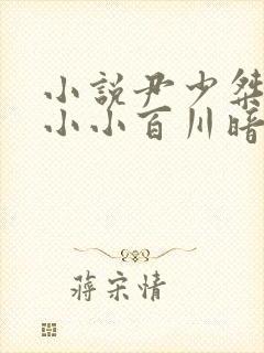 小说尹少桀,慕小小百川暗月