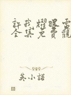 许我耀眼电视剧全集免费观看完整版