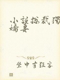 小说总裁独宠傲娇妻