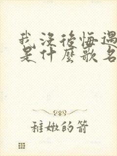 我没后悔遇见你是什么歌名