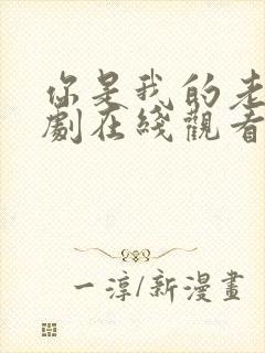 你是我的老婆泰剧在线观看