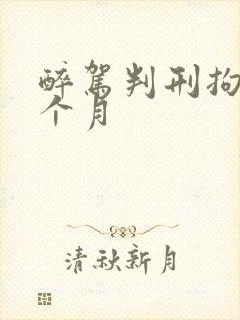 醉驾判刑拘留2个月