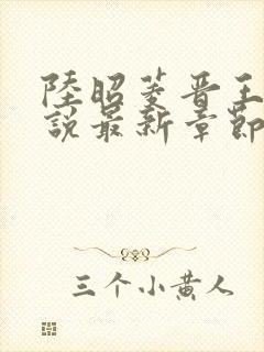 陆昭菱晋王的小说最新章节