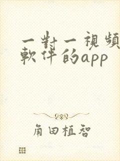 一对一视频聊天软件的app