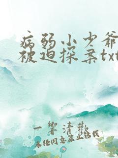 病弱小少爷又在被迫探案txt