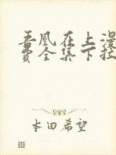 吾凰在上漫画免费全集下拉式漫画