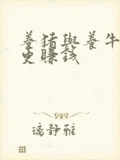 养猪与养牛哪种更赚钱