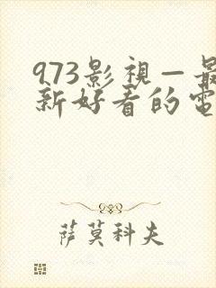 973影视—最新好看的电影