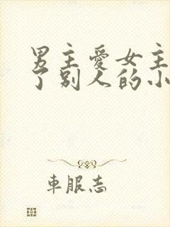 男主爱女主却娶了别人的小说