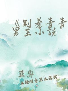 《别惹青青》双男主小说