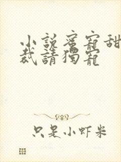 小说蜜宠甜妻总裁请独宠