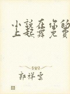 小说在你的心尖上起舞免费阅读