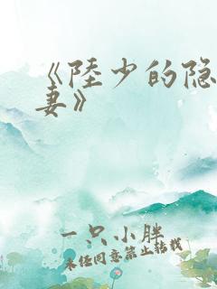 《陆少的隐婚罪妻》