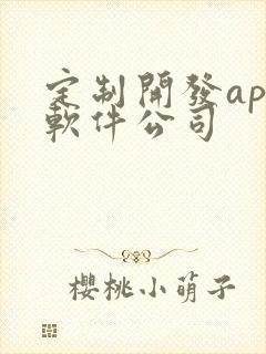 定制开发app软件公司