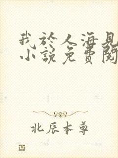 我于人海见过你小说免费阅读