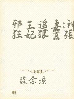 邪王追妻:神医狂妃狠嚣张阅读