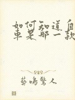 如何知道自己的车是哪一款