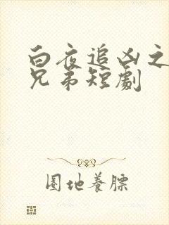 白夜追凶之龙虎兄弟短剧