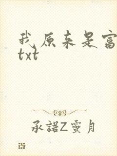 我原来是富二代txt