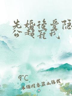 先婚后爱隐婚老公超宠我