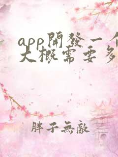 app开发一个大概需要多少费用