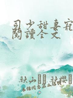 司少甜妻宠定了阅读全文