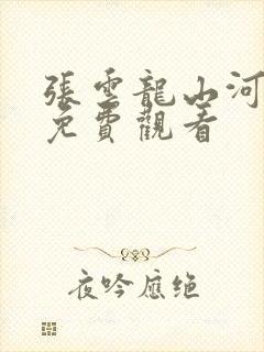 张云龙山河之影免费观看