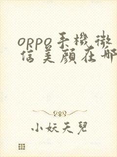 oppo手机微信美颜在哪里开